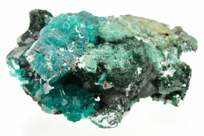 Emerald-Green Dioptase Crystal Cluster - Congo #366012